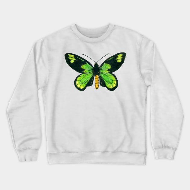 Queen Victoria's birdwing butterfly Crewneck Sweatshirt by katerinamk